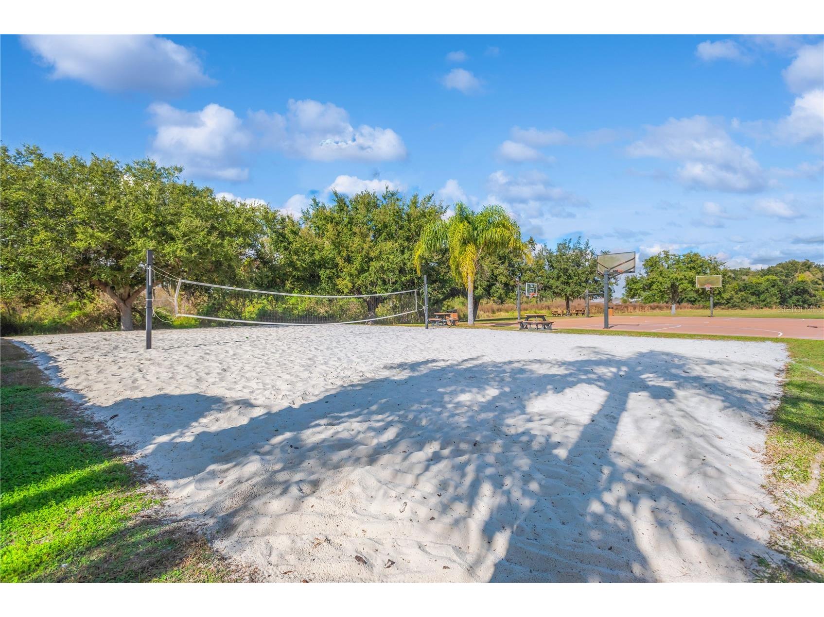 18345 Fish Loop Land O Lakes FL 34638 TB8460014 image35
