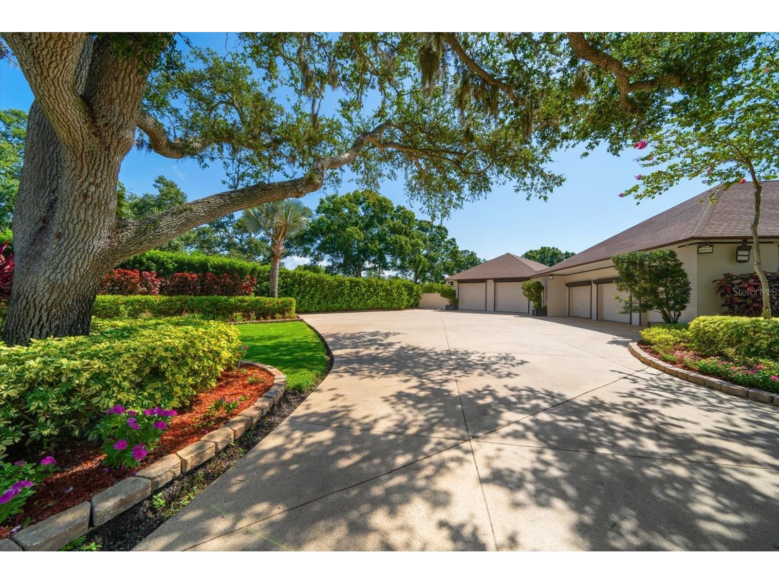 1835 Alicia Way Clearwater FL 33764 TB8402218 image61