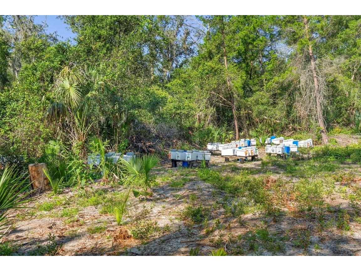 1835 S Glencoe Road New Smyrna Beach FL 32168 O6318448 image15