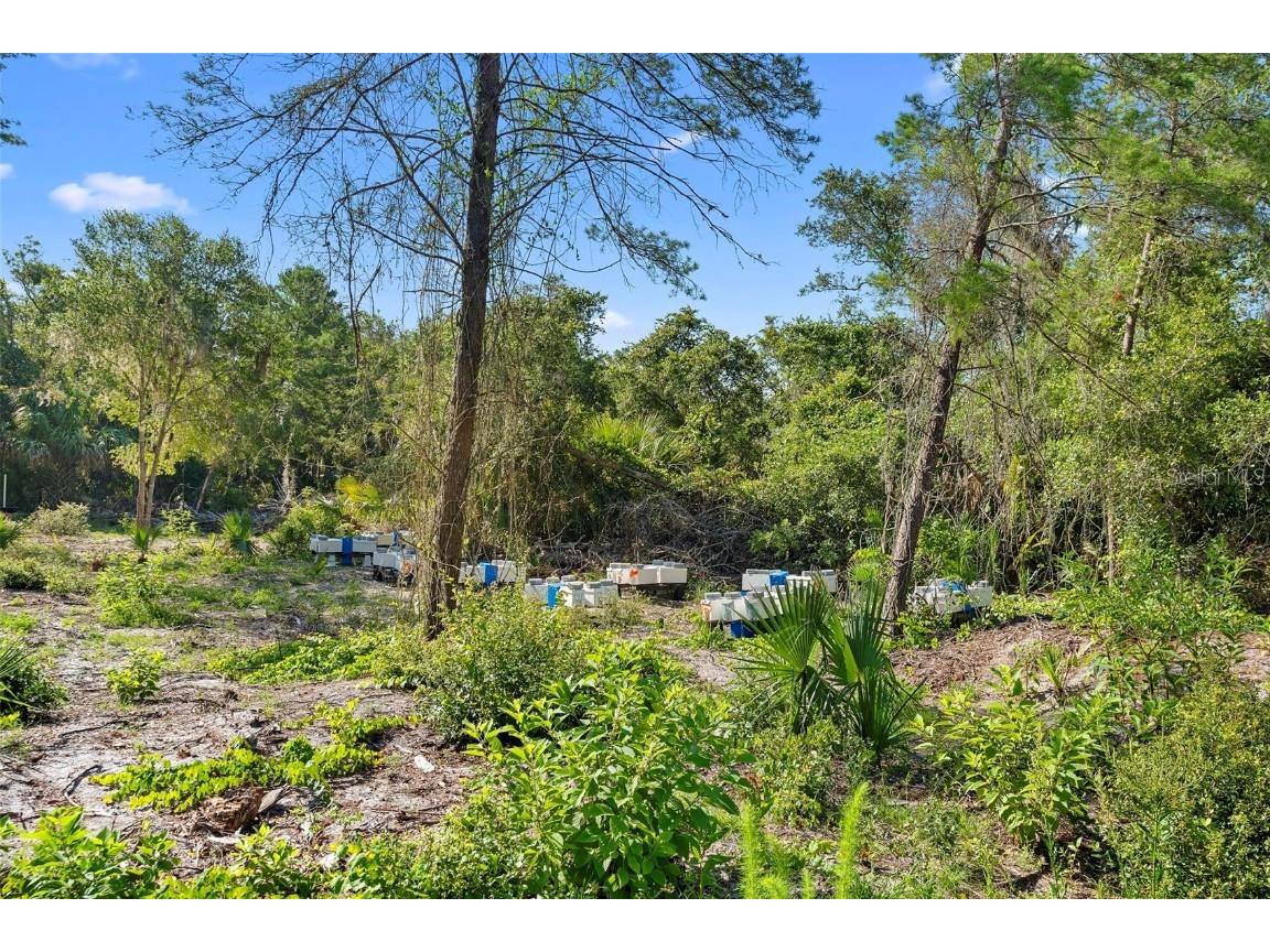 1835 S Glencoe Road New Smyrna Beach FL 32168 O6318448 image17