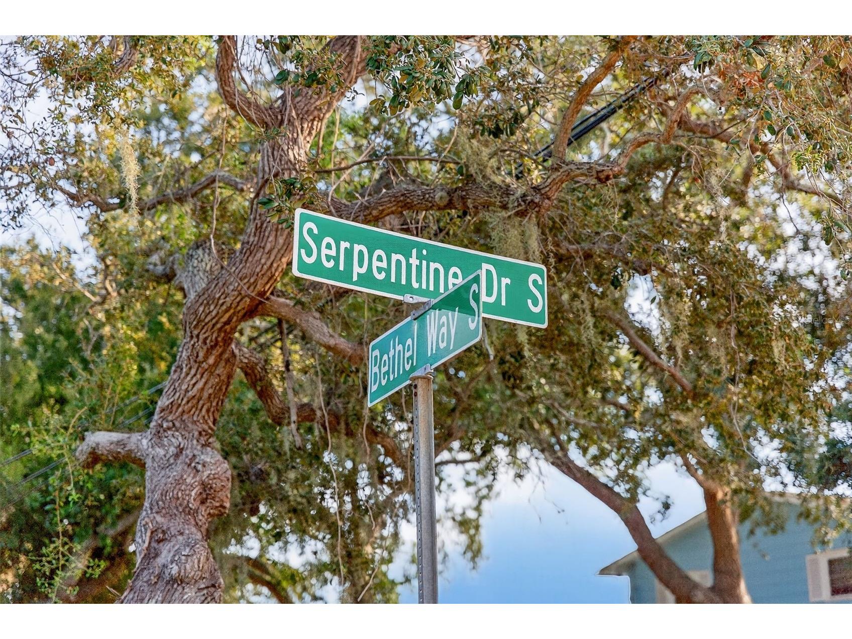 1835 Serpentine Drive S Saint Petersburg FL 33712 TB8487822 image64