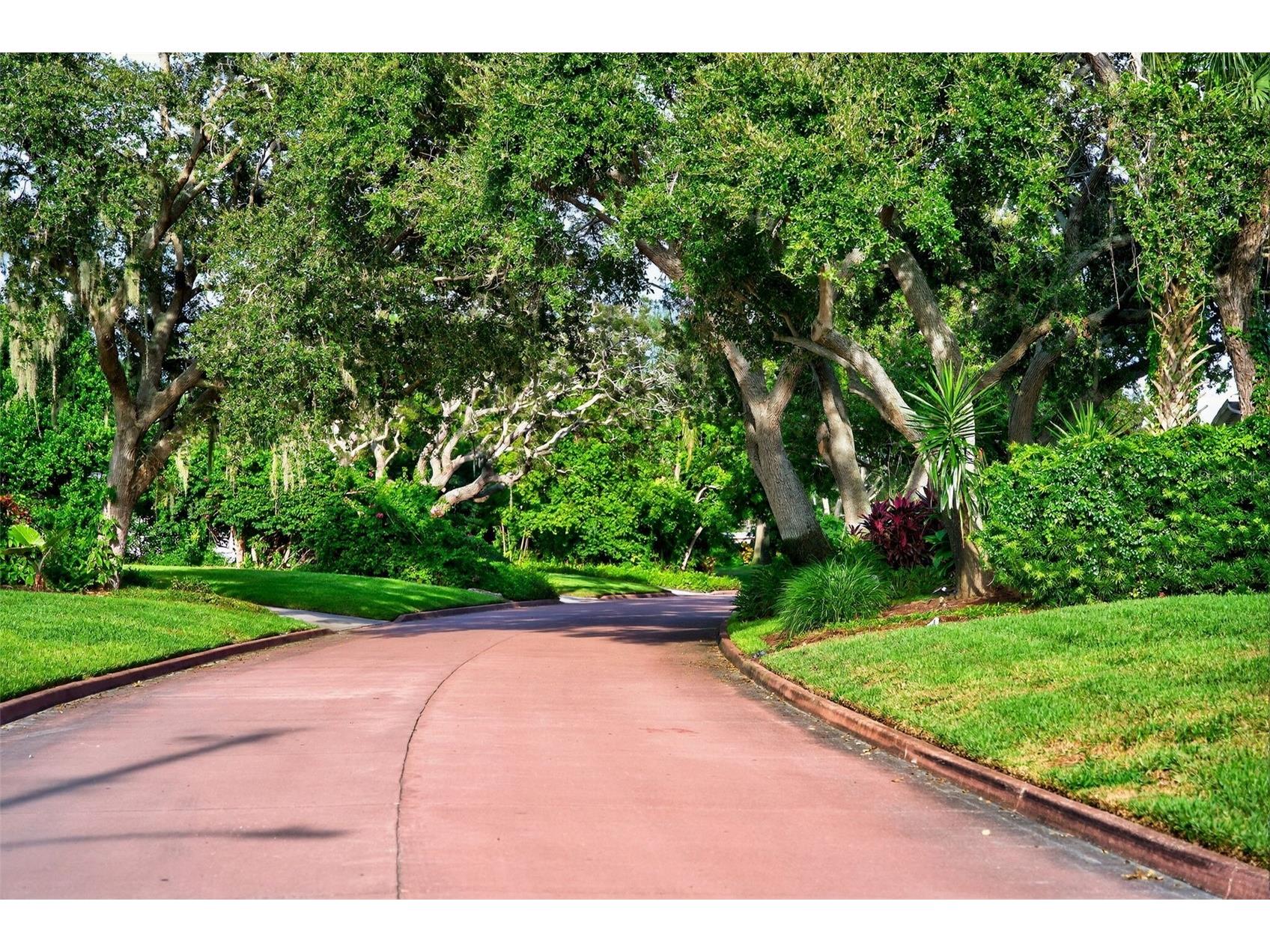 1835 Serpentine Drive S Saint Petersburg FL 33712 TB8487822 image66