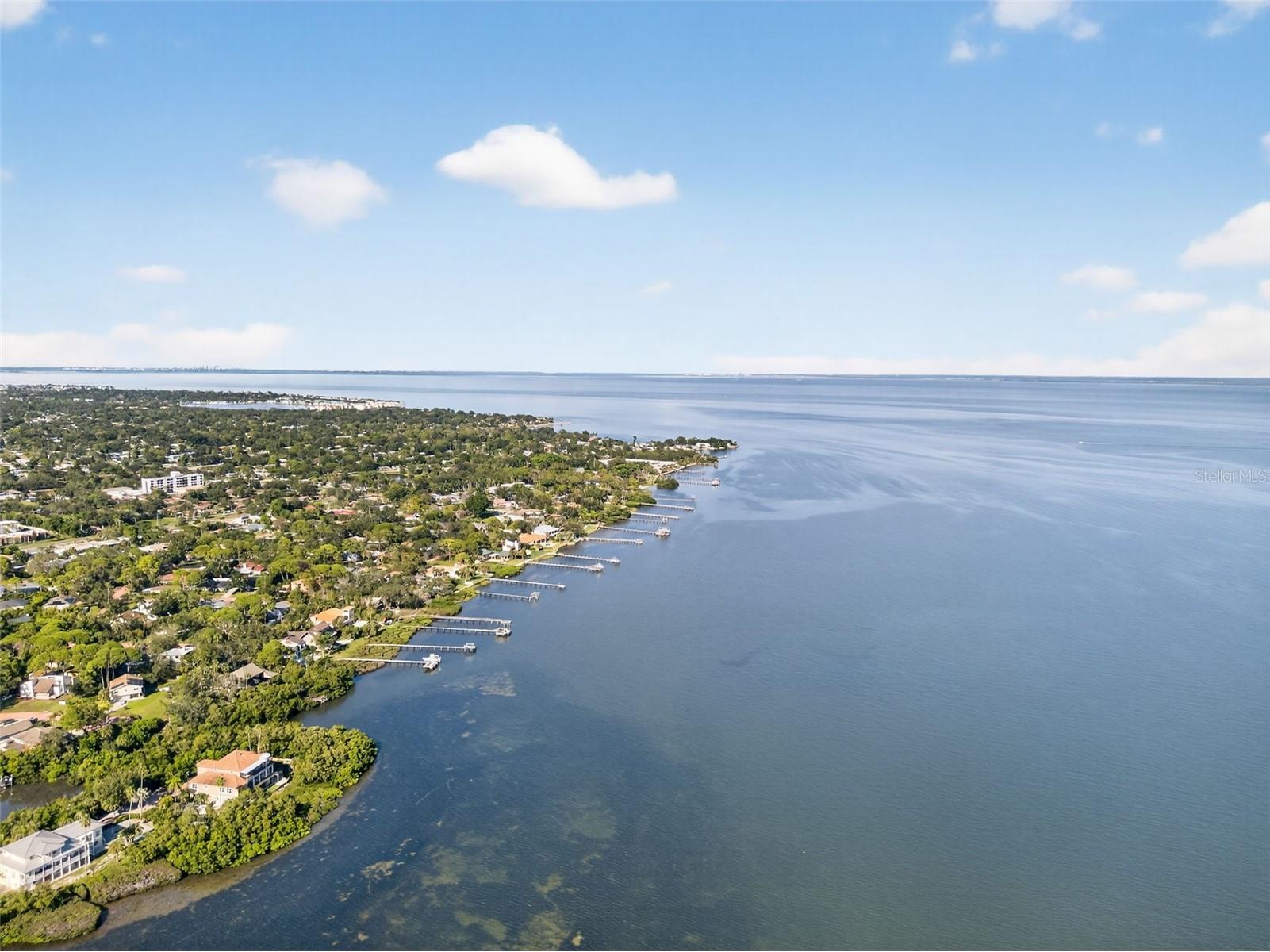 1835 Serpentine Drive S Saint Petersburg FL 33712 TB8487822 image71