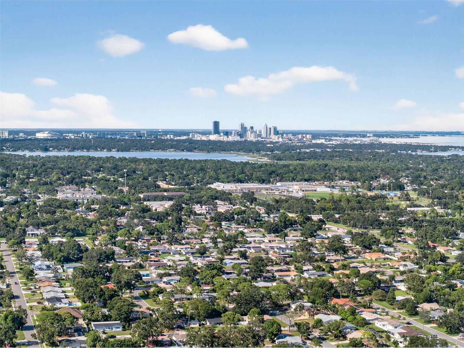 1835 Serpentine Drive S Saint Petersburg FL 33712 TB8487822 image75