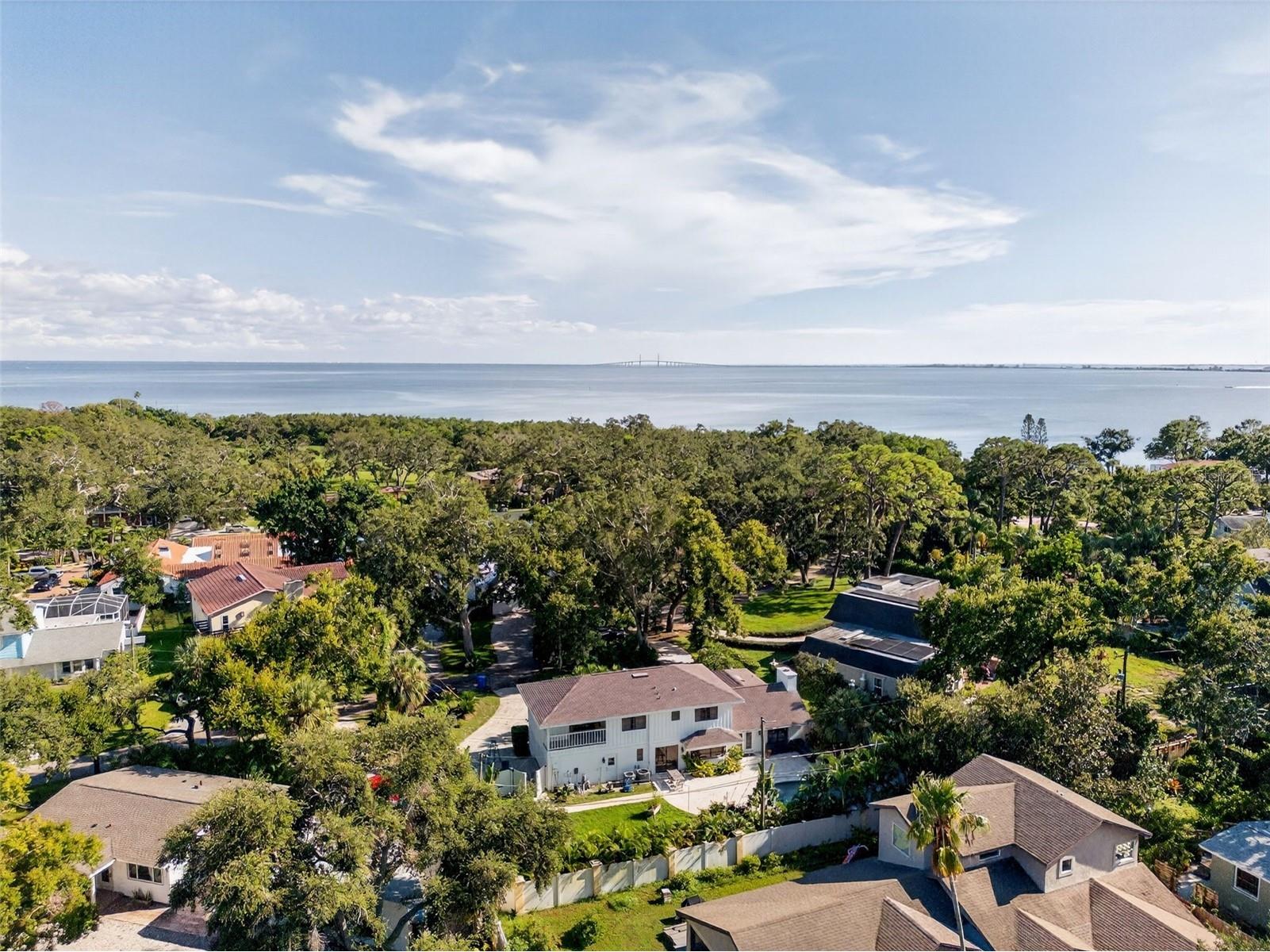 1835 Serpentine Drive S Saint Petersburg FL 33712 TB8487822 image8