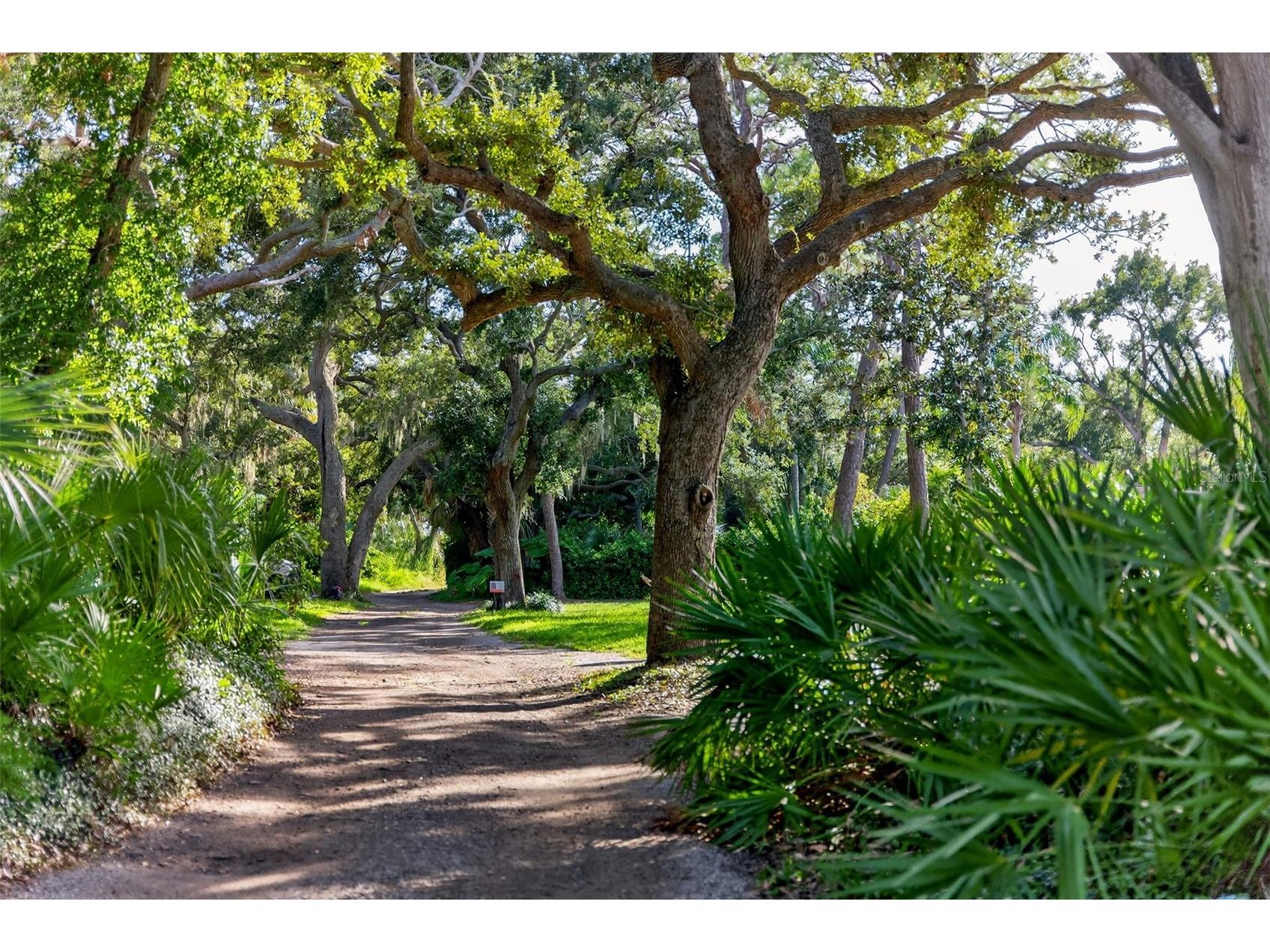 1835 Serpentine Drive S Saint Petersburg FL 33712 TB8487822 image9