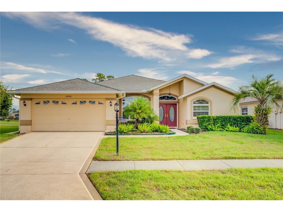 18350 Camshire Court Hudson FL 34667 T3488824 image1