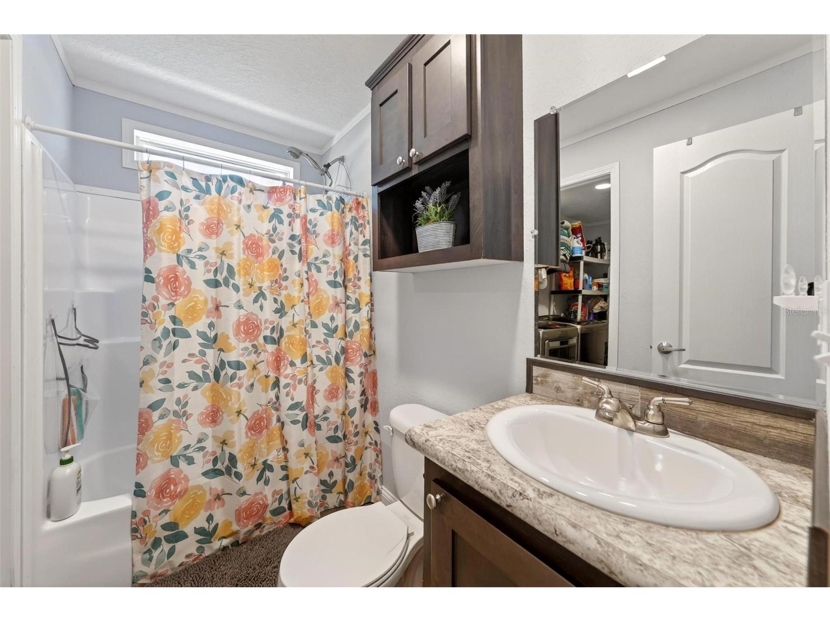 18350 SE 42nd Place Morriston FL 32668 OM724058 image21