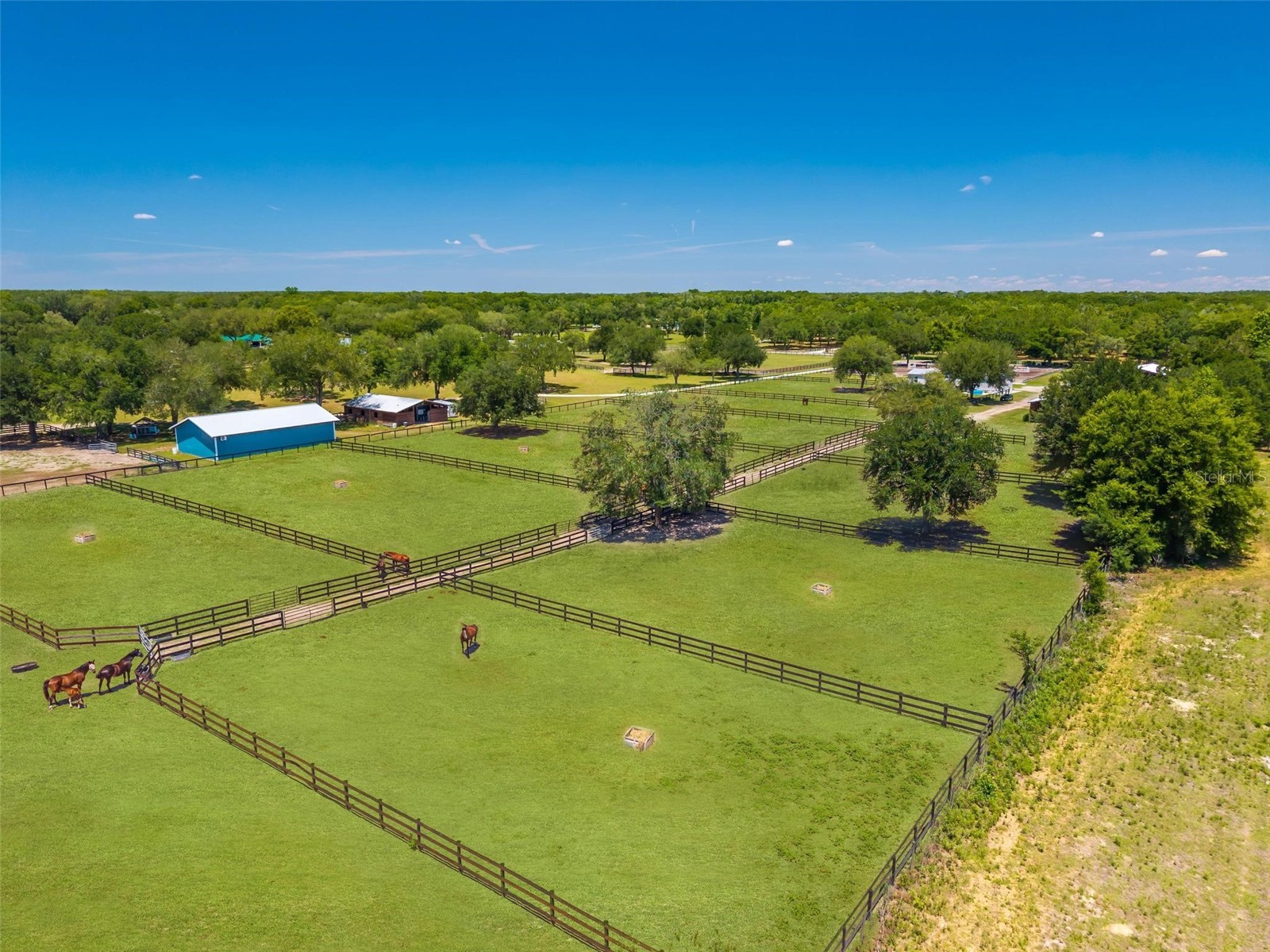 18350 SE 42nd Place Morriston FL 32668 OM724058 image66
