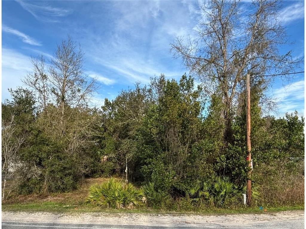 18351 SE 20th Place Silver Springs FL 34488 OM694339 image1