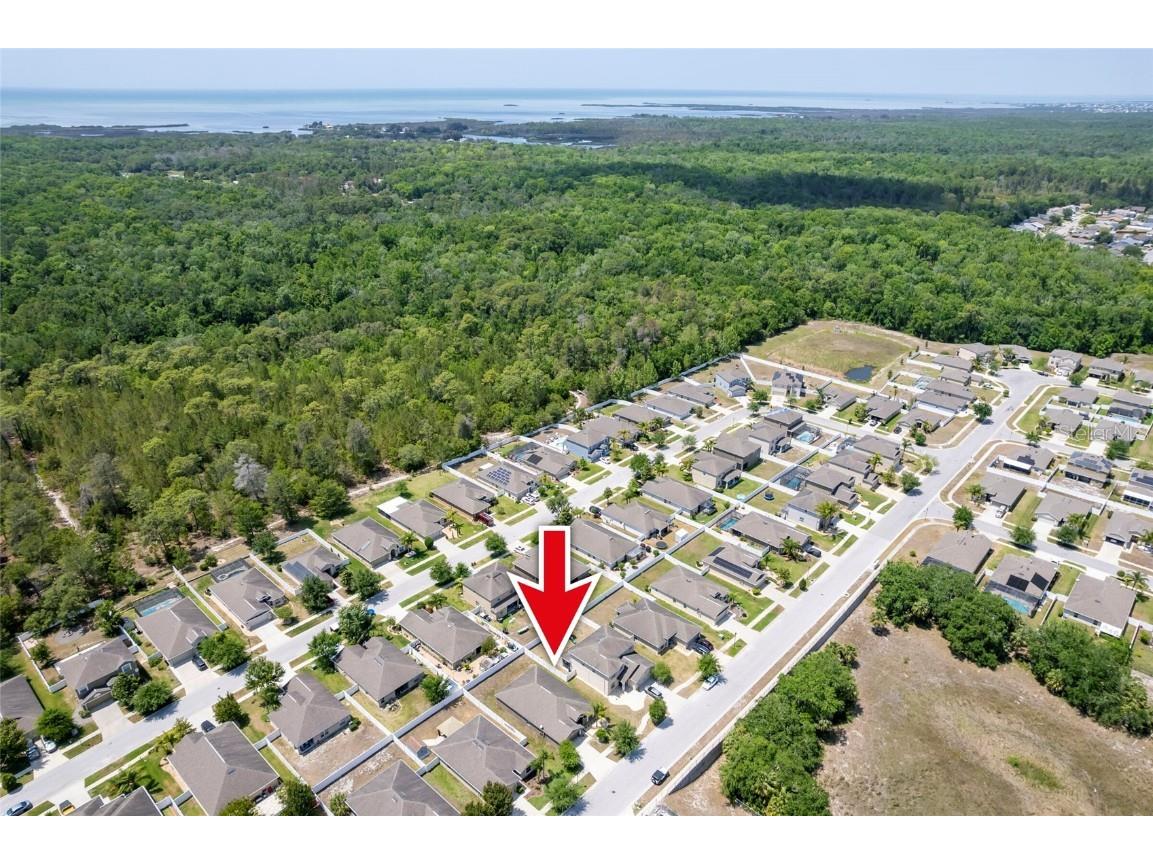 18353 Briar Oaks Drive Hudson FL 34667 W7874955 image34