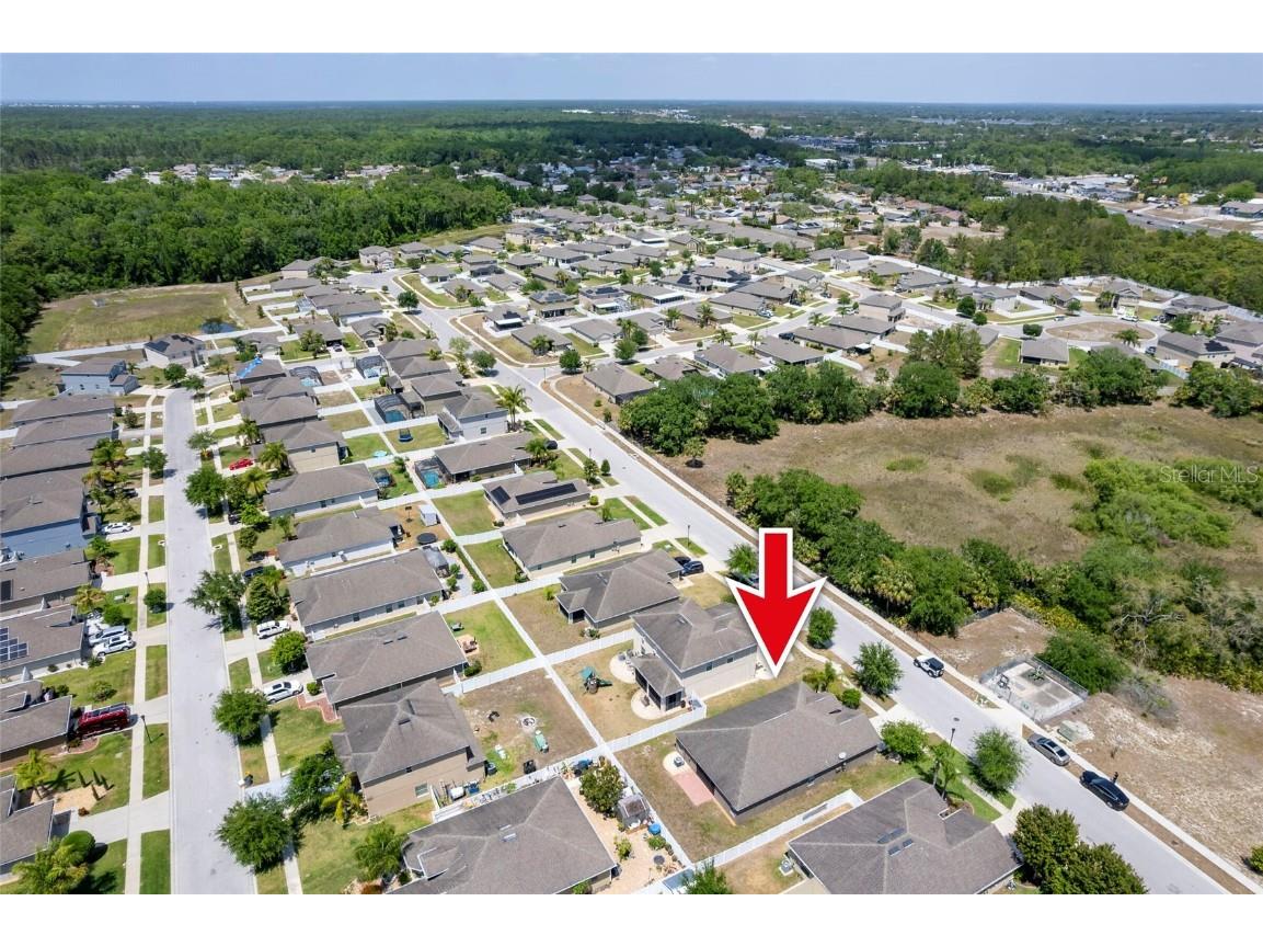 18353 Briar Oaks Drive Hudson FL 34667 W7874955 image45