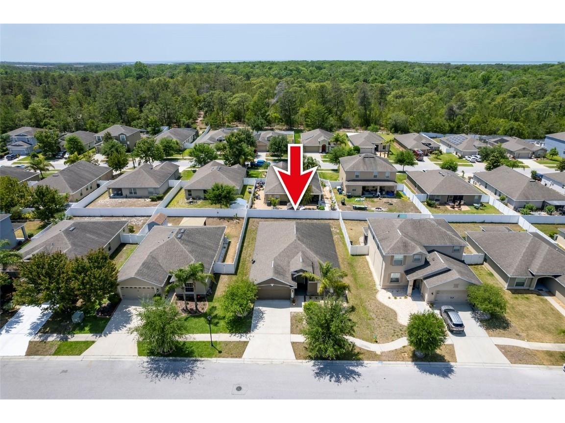 18353 Briar Oaks Drive Hudson FL 34667 W7874955 image47