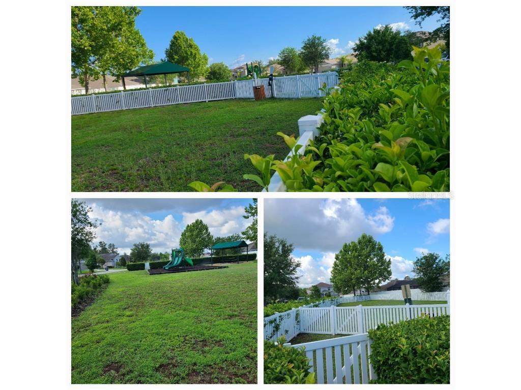 18353 Briar Oaks Drive Hudson FL 34667 W7874955 image49