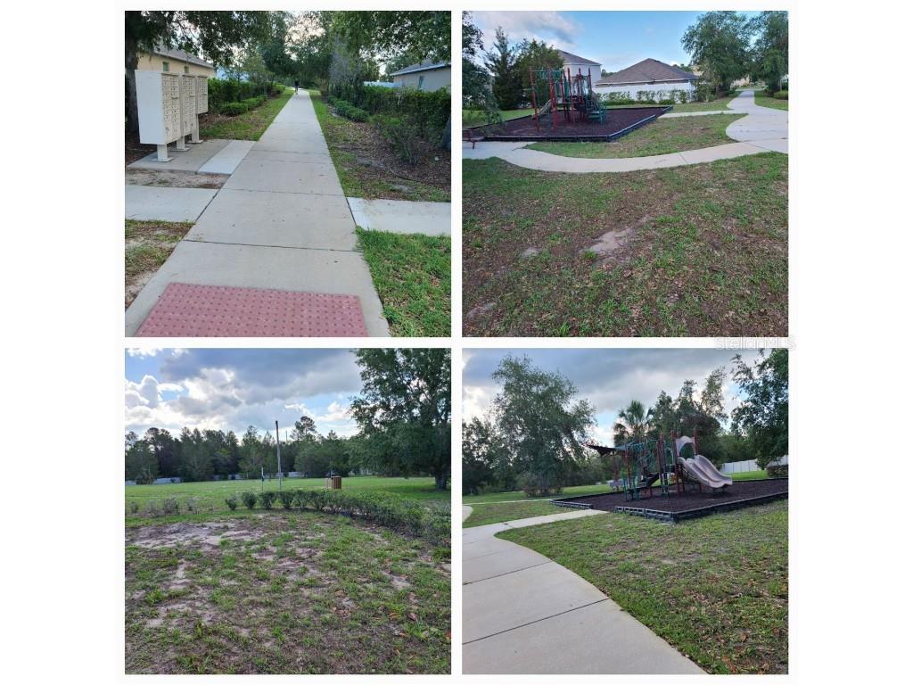 18353 Briar Oaks Drive Hudson FL 34667 W7874955 image50