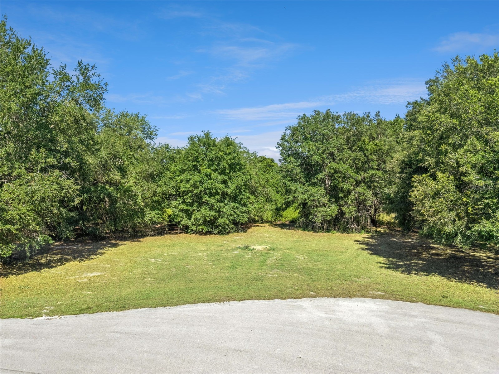 18353 Great Blue Heron Drive Groveland FL 34736 O6408058 image1