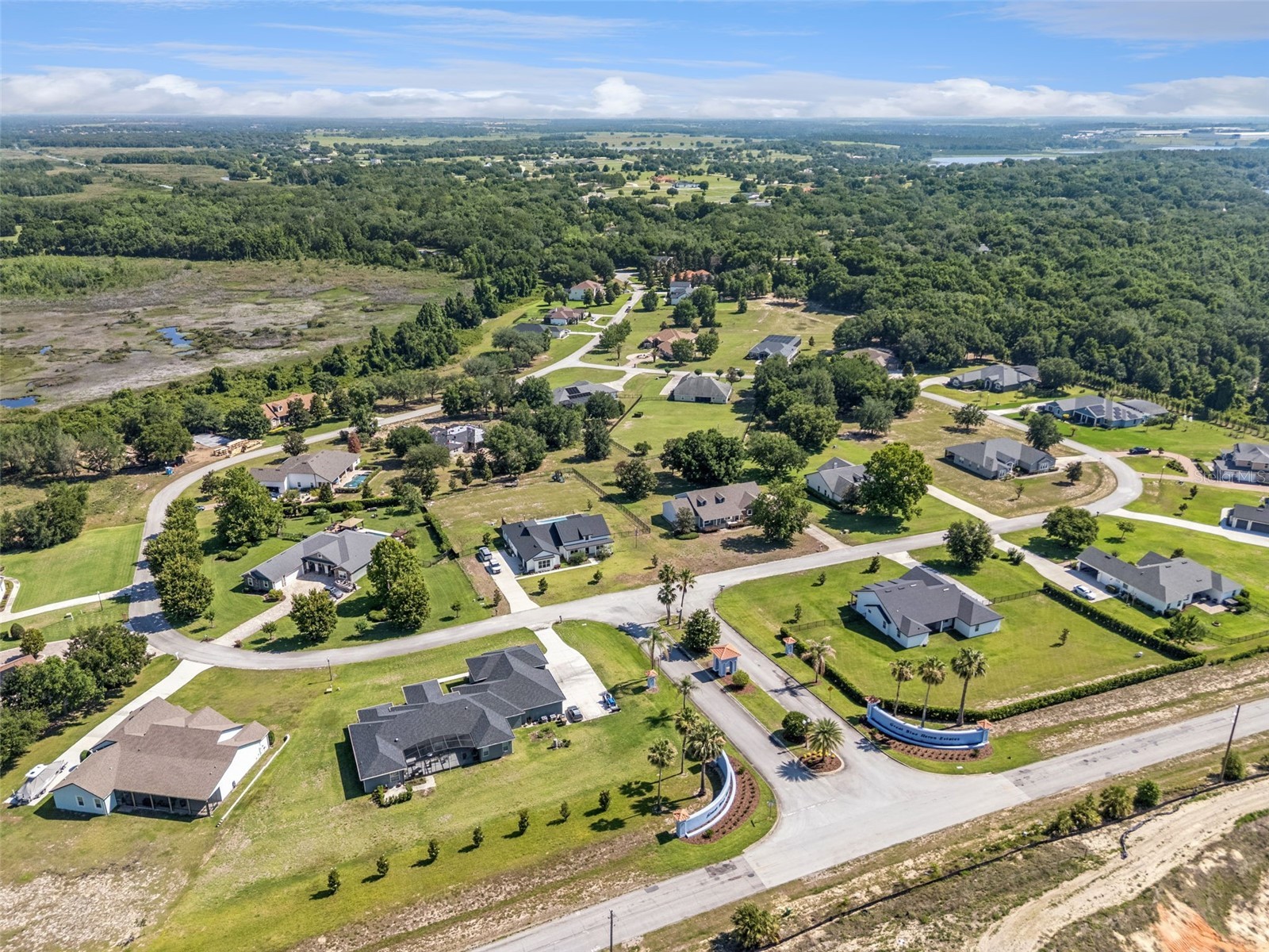 18353 Great Blue Heron Drive Groveland FL 34736 O6408058 image3