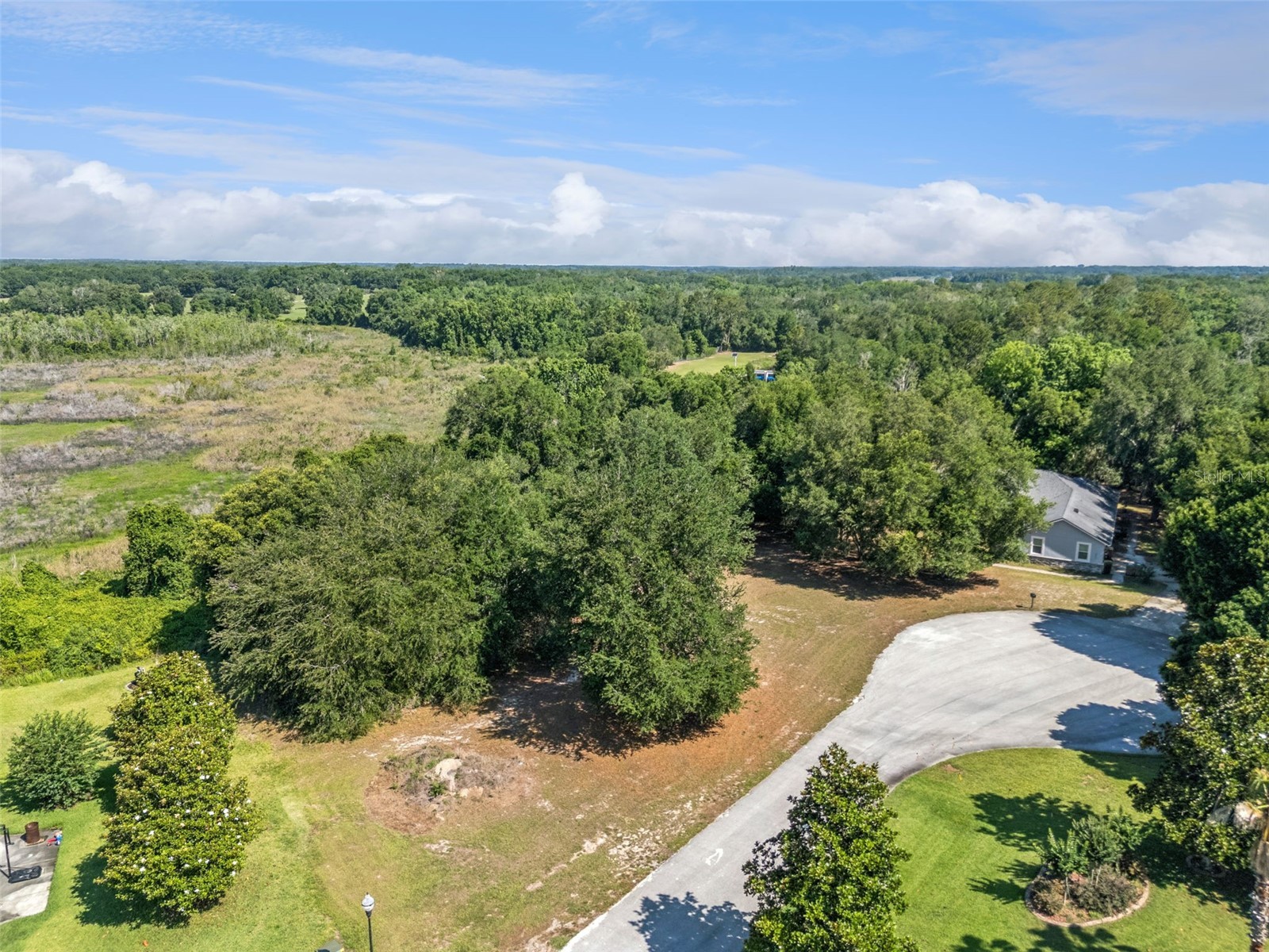 18353 Great Blue Heron Drive Groveland FL 34736 O6408058 image4
