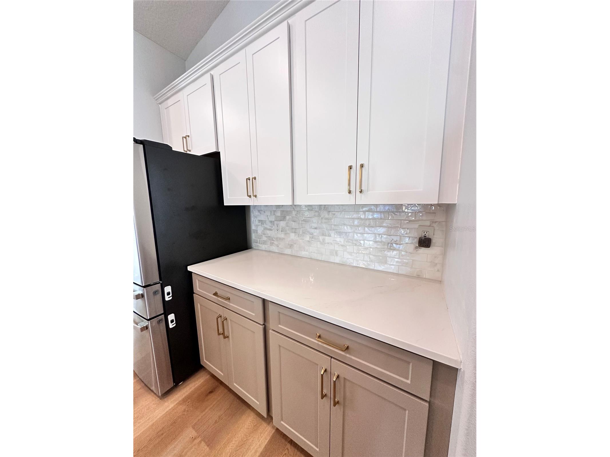 18353 Holland House Loop Land O Lakes FL 34638 TB8502891 image11