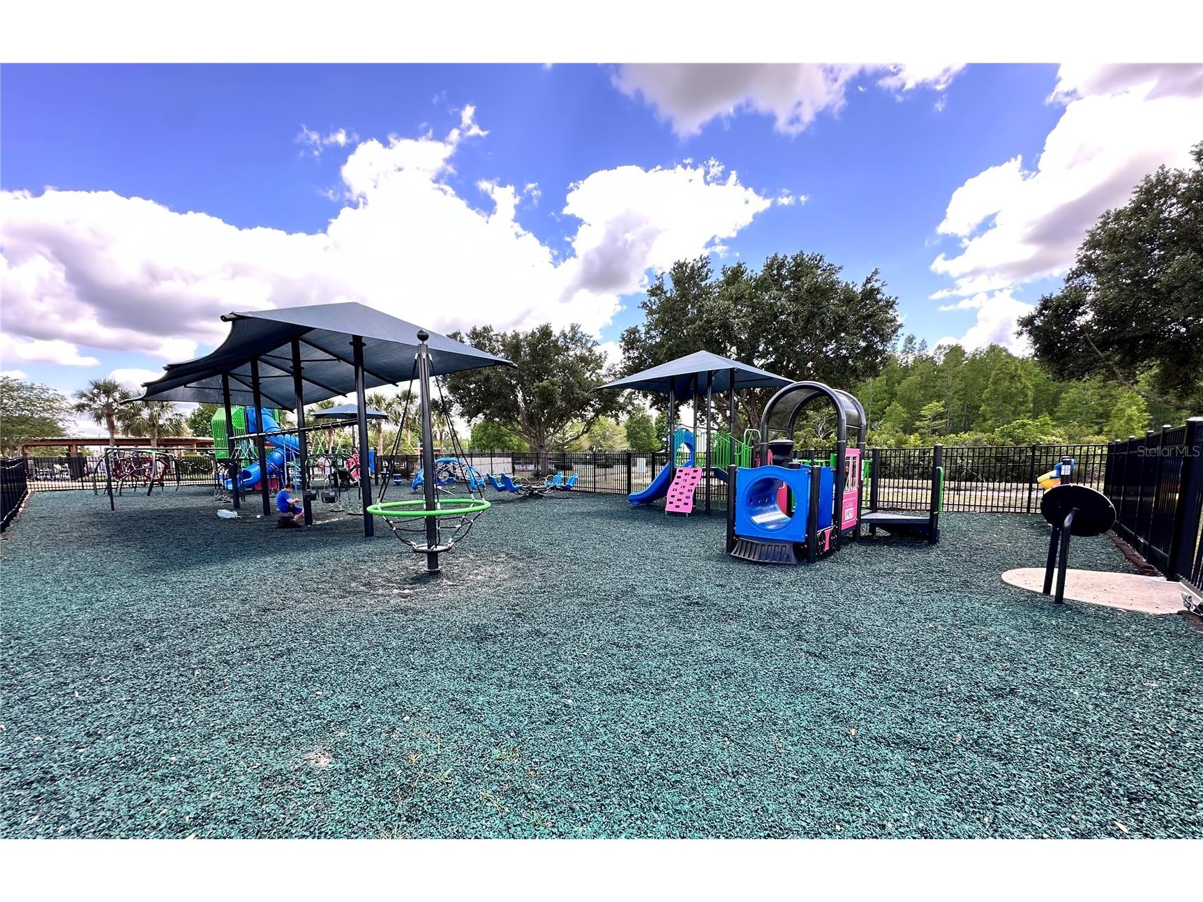 18353 Holland House Loop Land O Lakes FL 34638 TB8502891 image47