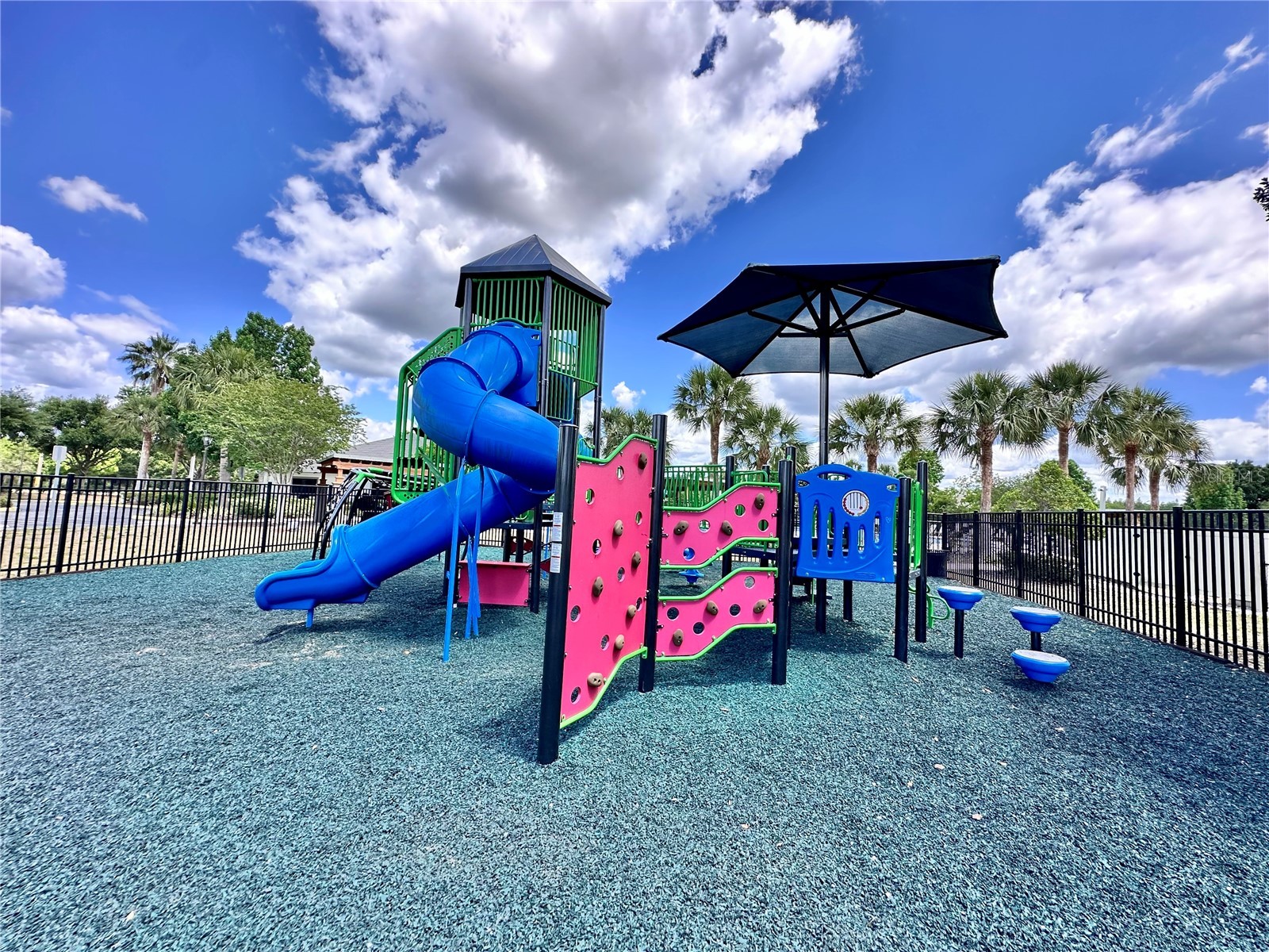 18353 Holland House Loop Land O Lakes FL 34638 TB8502891 image49