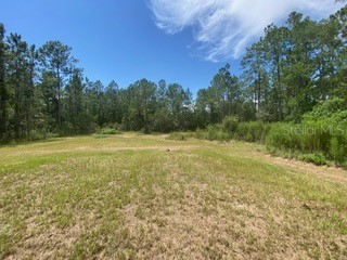 1836 Hickory Street Bunnell FL 32110 FC311357 image15