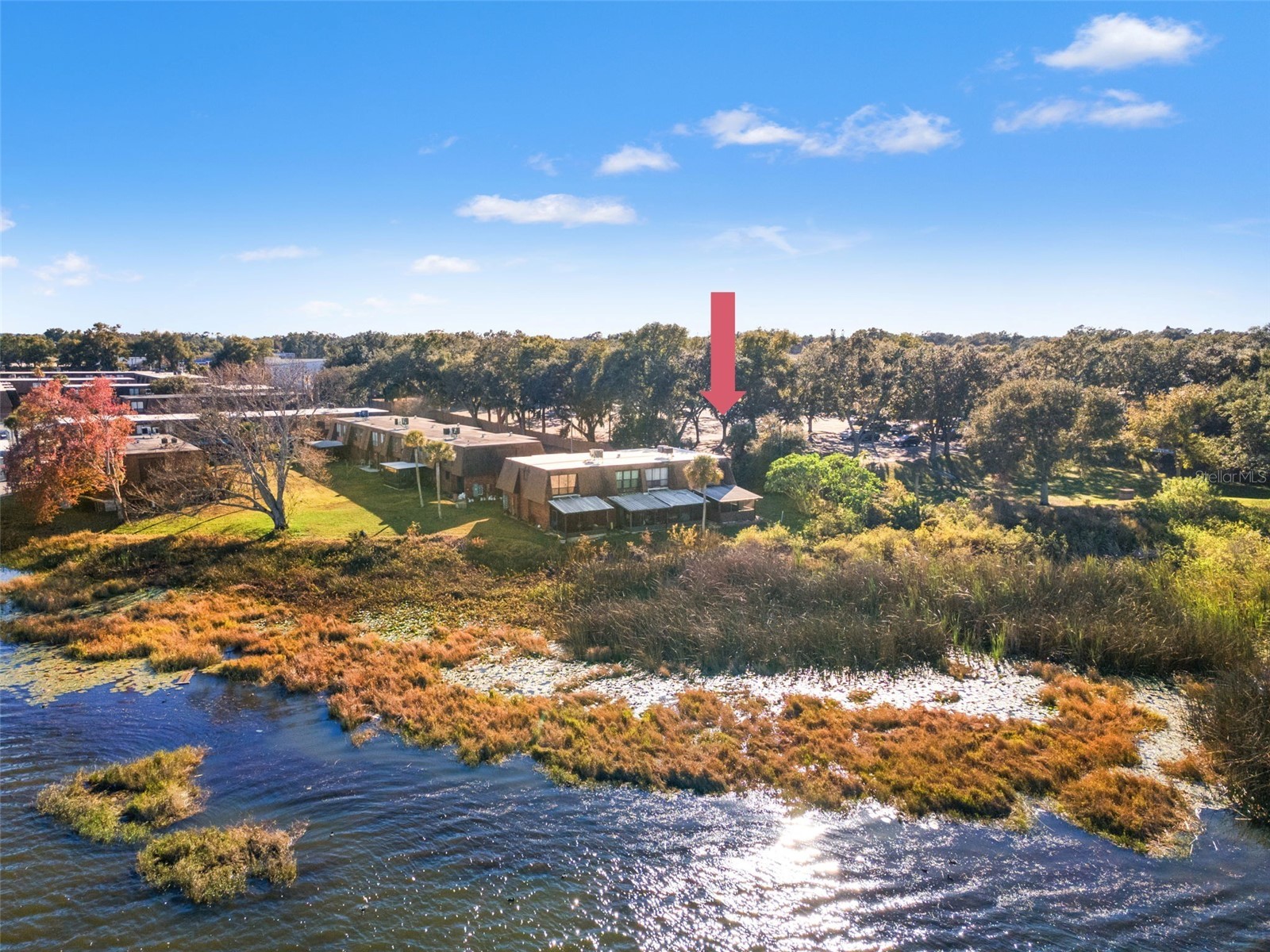 1836 N Crystal Lake Drive #1 Lakeland FL 33801 - BONNY LAKE TB8462482 image22