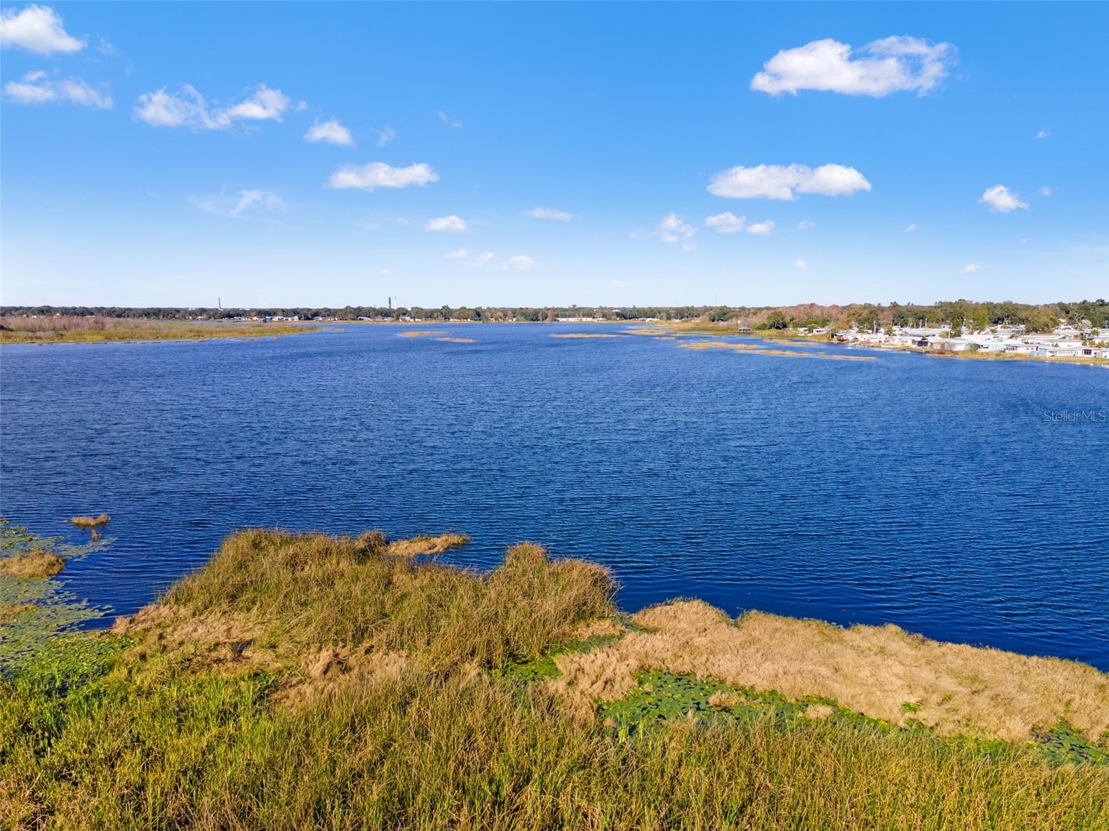 1836 N Crystal Lake Drive #1 Lakeland FL 33801 - BONNY LAKE TB8462482 image26