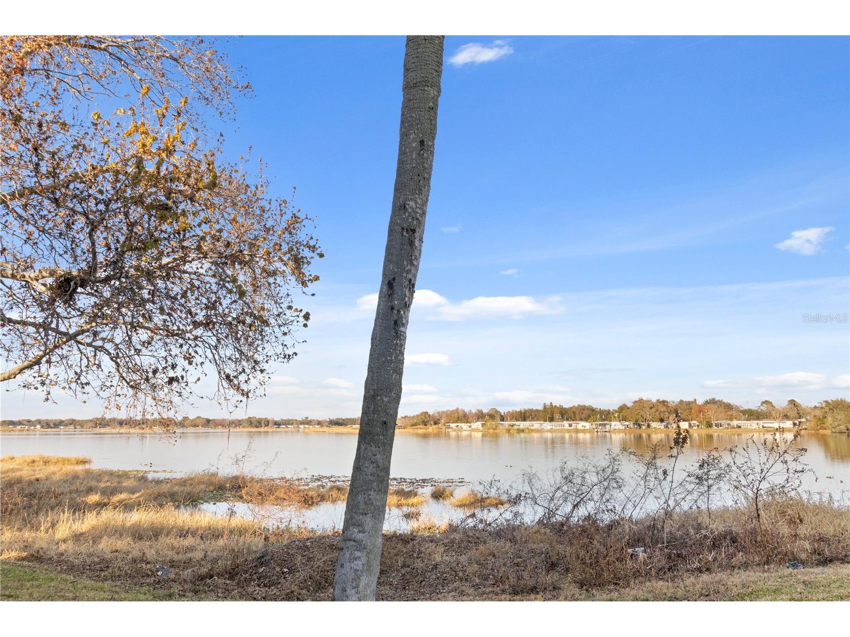 1836 N Crystal Lake Drive #19 Lakeland FL 33801 - LAKE BONNY L4959500 image20