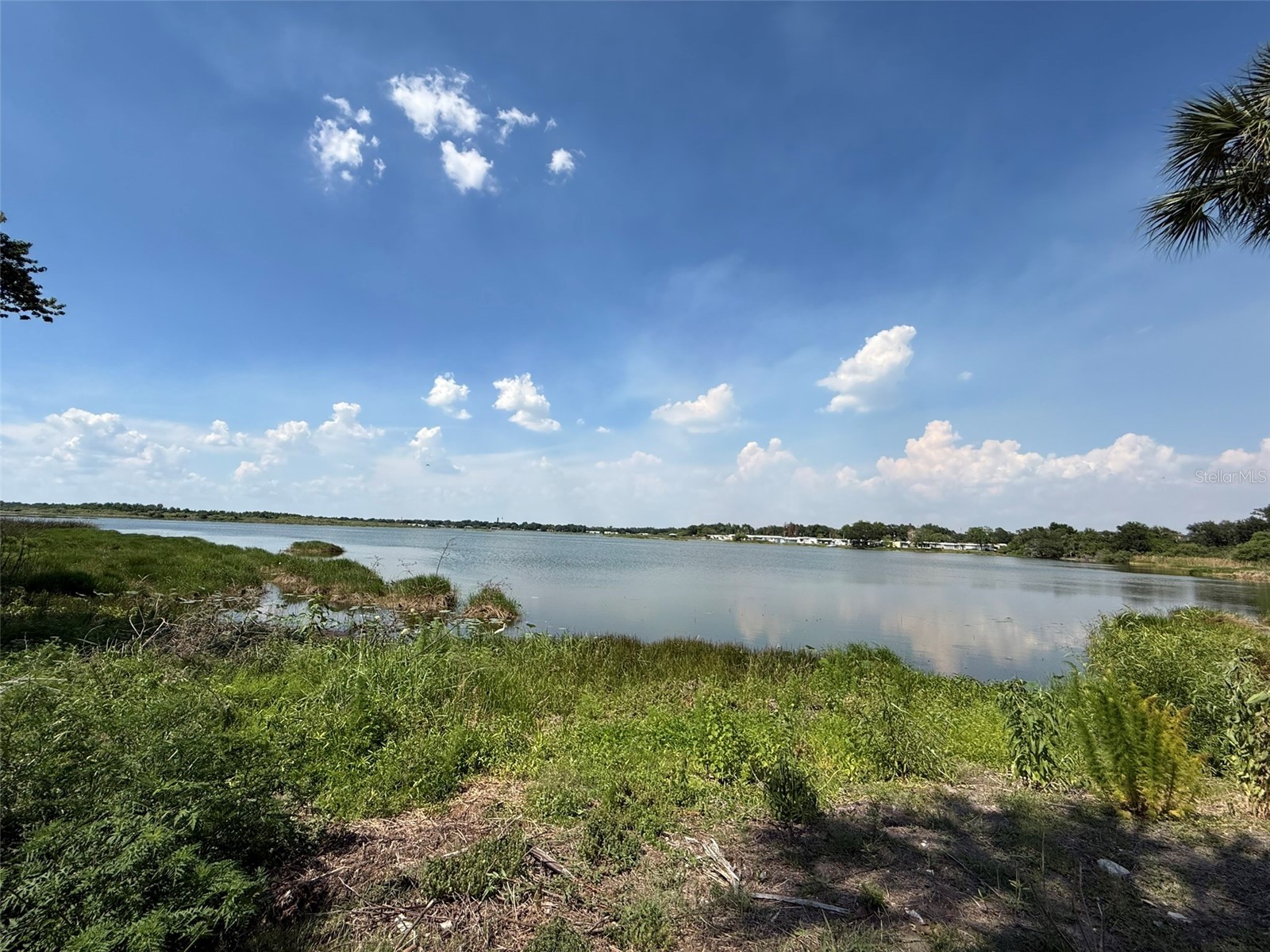 1836 N Crystal Lake Drive #64 Lakeland FL 33801 L4961805 image21