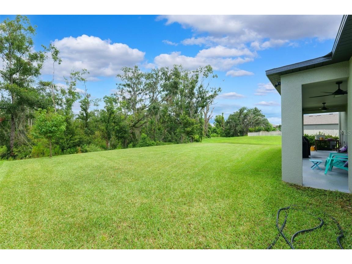 18363 E Porfirio Place Spring Hill FL 34610 TB8415692 image37