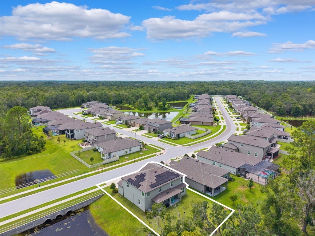 18363 E Porfirio Place Spring Hill FL 34610 TB8415692 image39