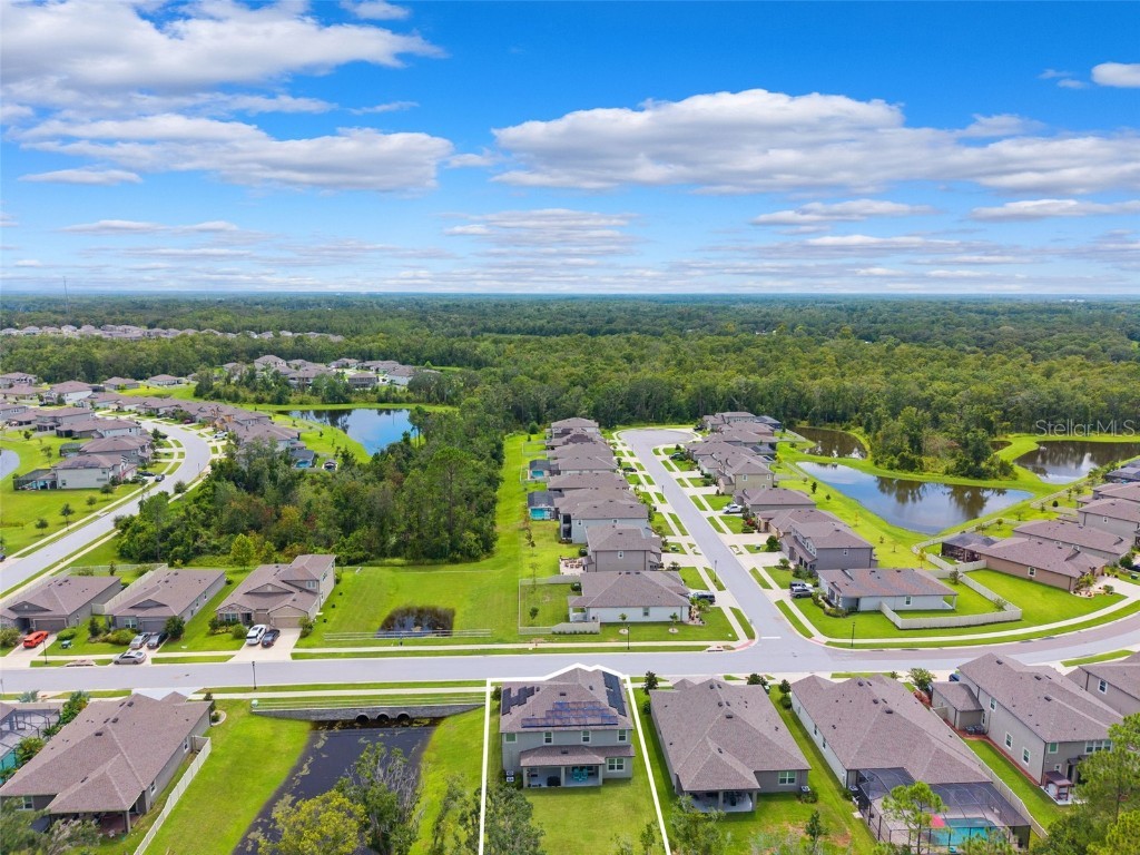 18363 E Porfirio Place Spring Hill FL 34610 TB8415692 image40