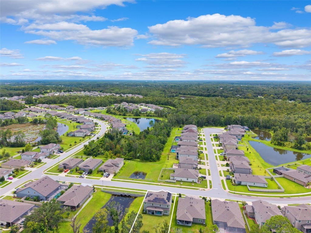 18363 E Porfirio Place Spring Hill FL 34610 TB8415692 image41