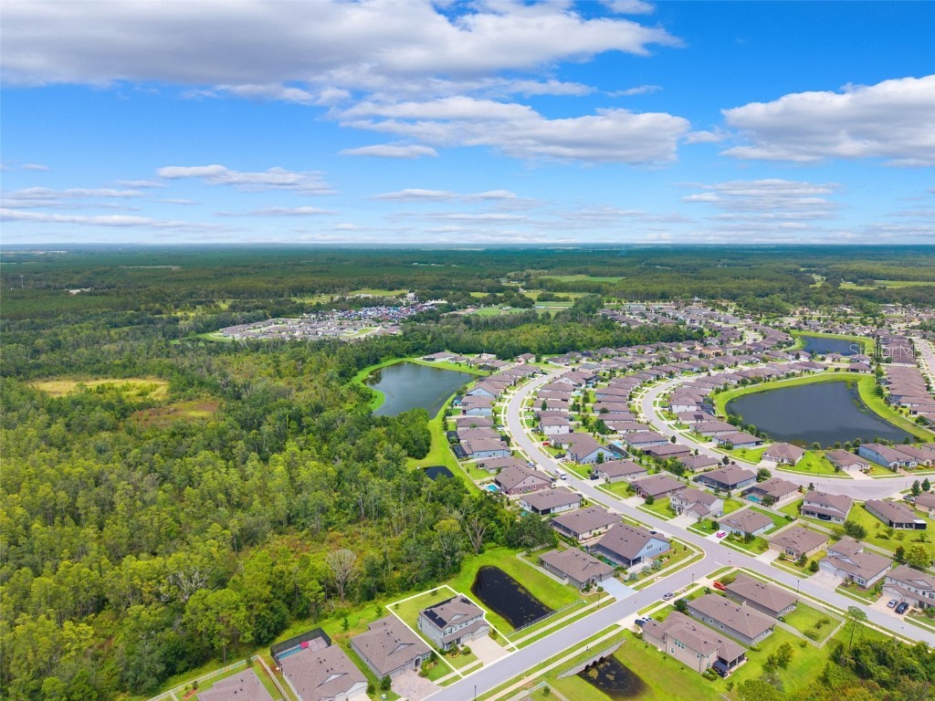 18363 E Porfirio Place Spring Hill FL 34610 TB8415692 image42