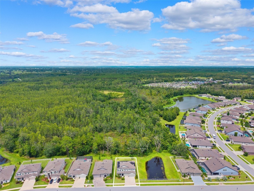 18363 E Porfirio Place Spring Hill FL 34610 TB8415692 image43