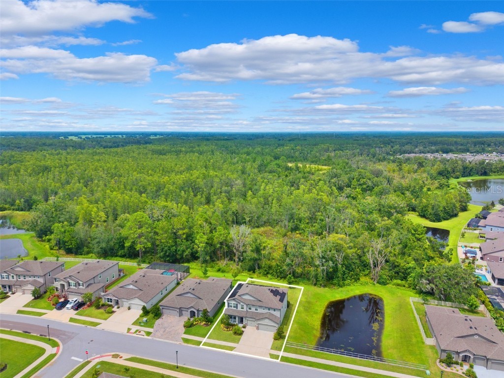 18363 E Porfirio Place Spring Hill FL 34610 TB8415692 image44