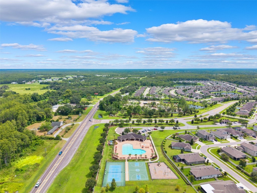 18363 E Porfirio Place Spring Hill FL 34610 TB8415692 image48