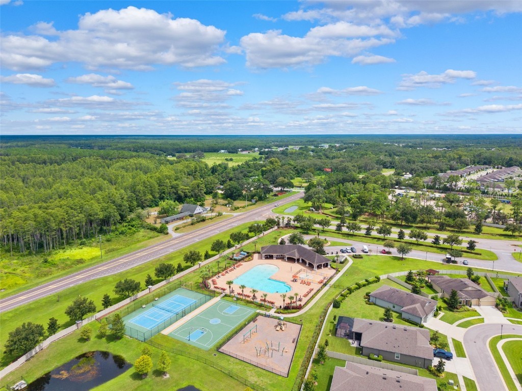 18363 E Porfirio Place Spring Hill FL 34610 TB8415692 image49