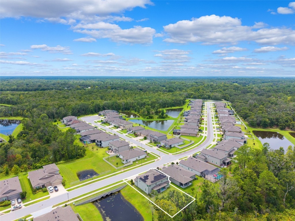 18363 E Porfirio Place Spring Hill FL 34610 TB8415692 image50