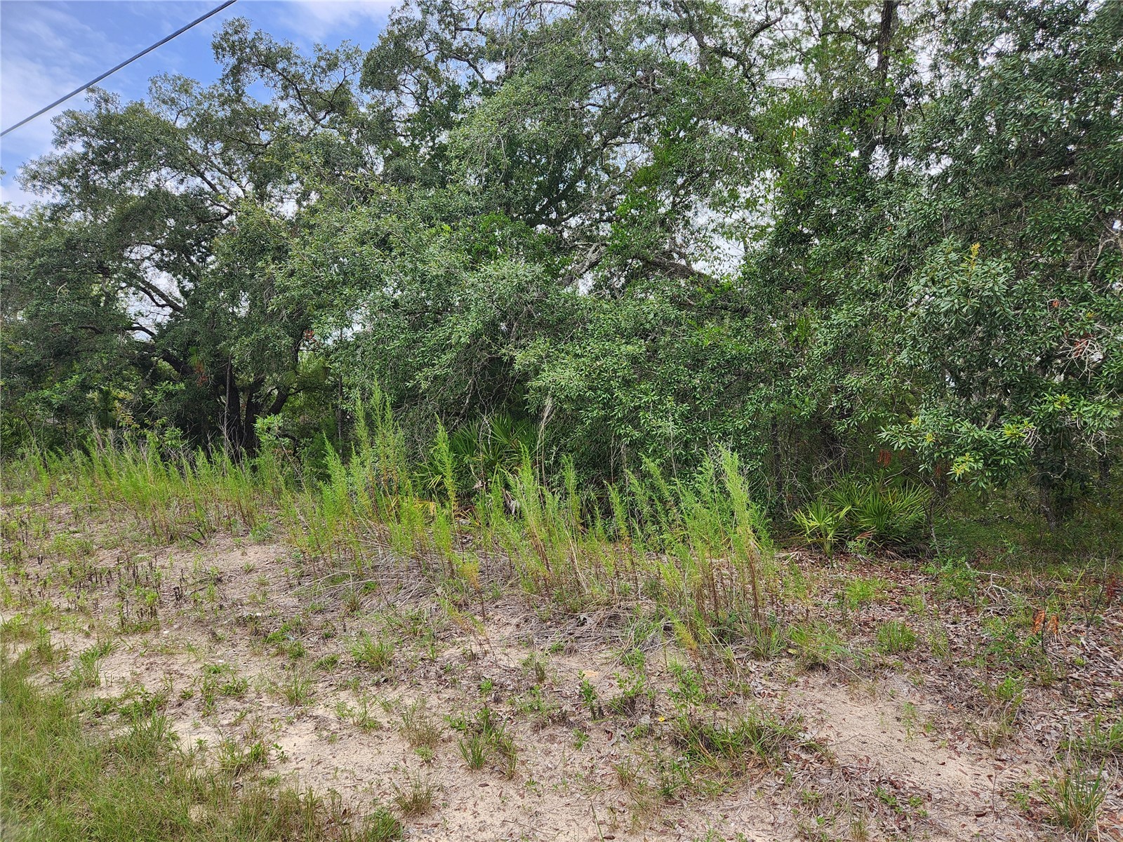 18364 Parakeet Road #LOT 25 Brooksville FL 34614 W7887597 image5