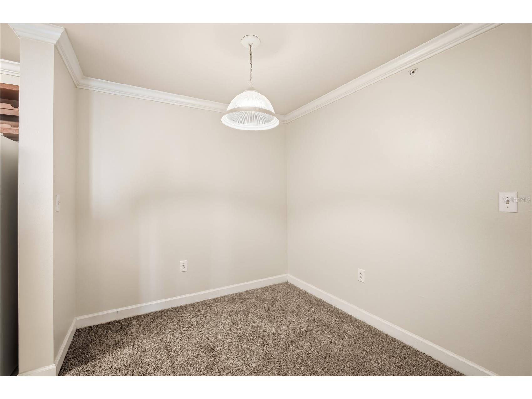 18367 Bridle Club Drive #18367 Tampa FL 33647 TB8501242 image10