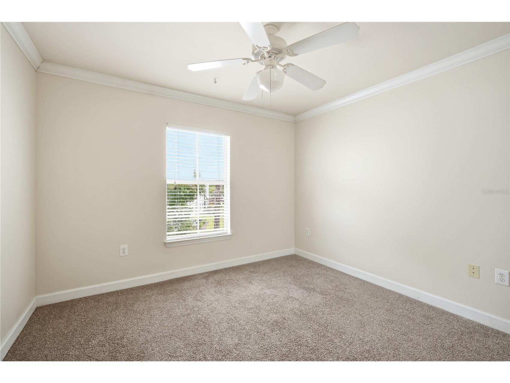 18367 Bridle Club Drive #18367 Tampa FL 33647 TB8501242 image12