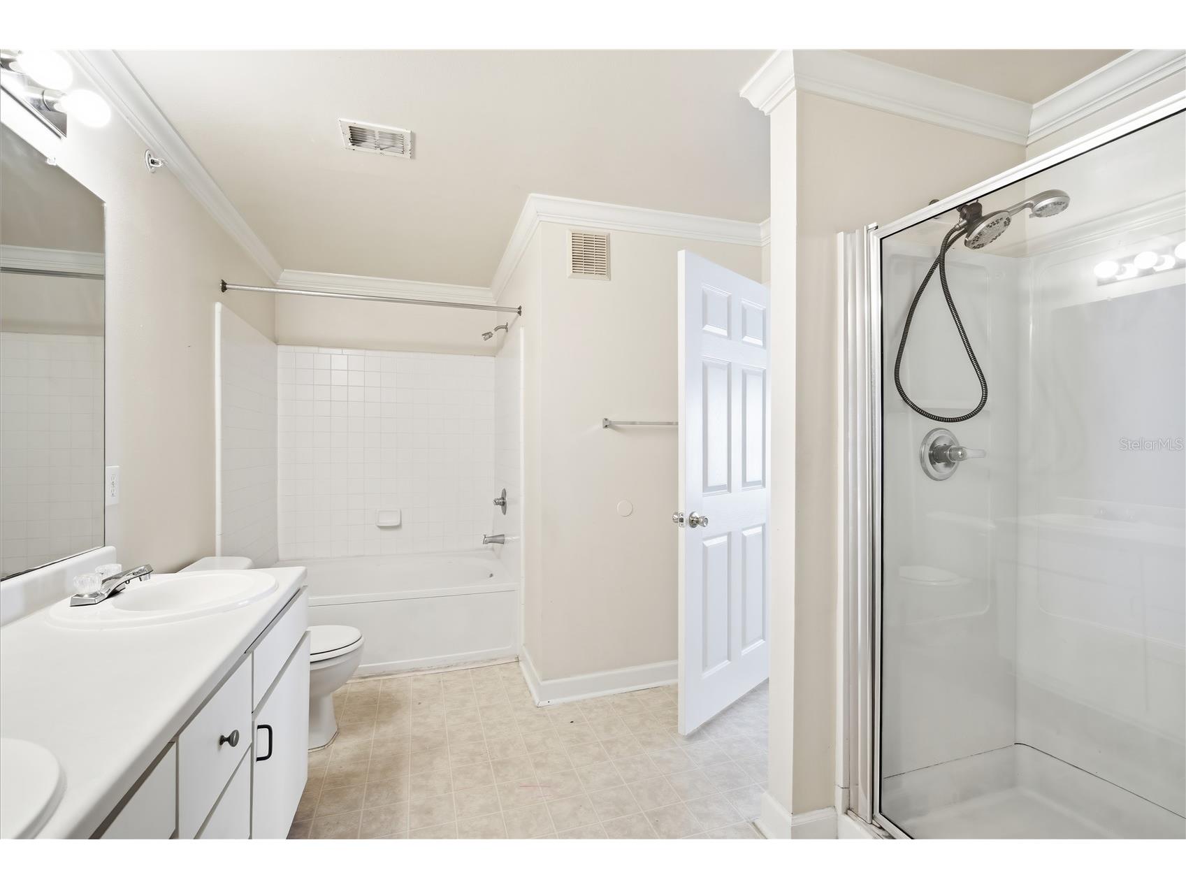 18367 Bridle Club Drive #18367 Tampa FL 33647 TB8501242 image18