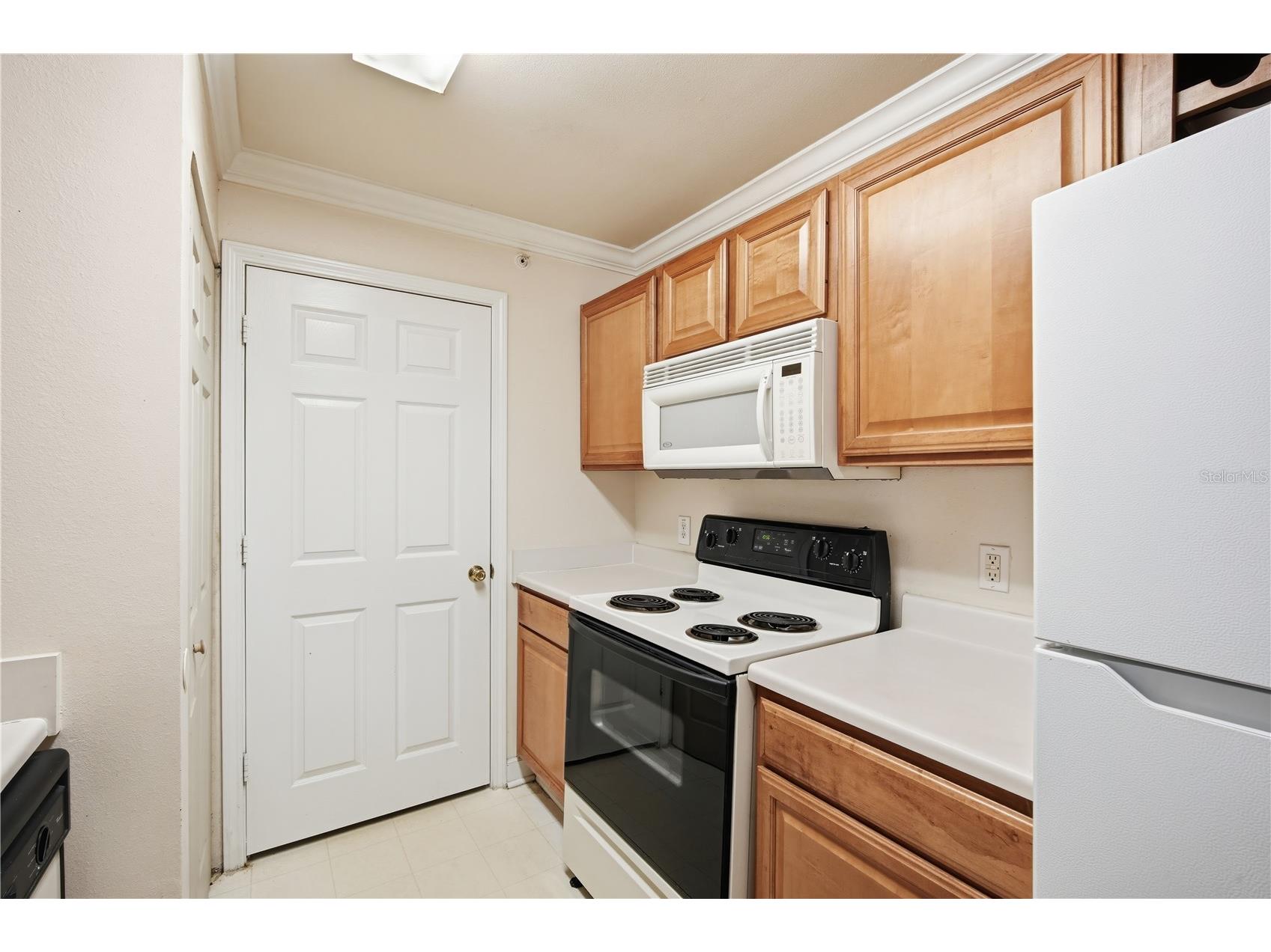 18367 Bridle Club Drive #18367 Tampa FL 33647 TB8501242 image8