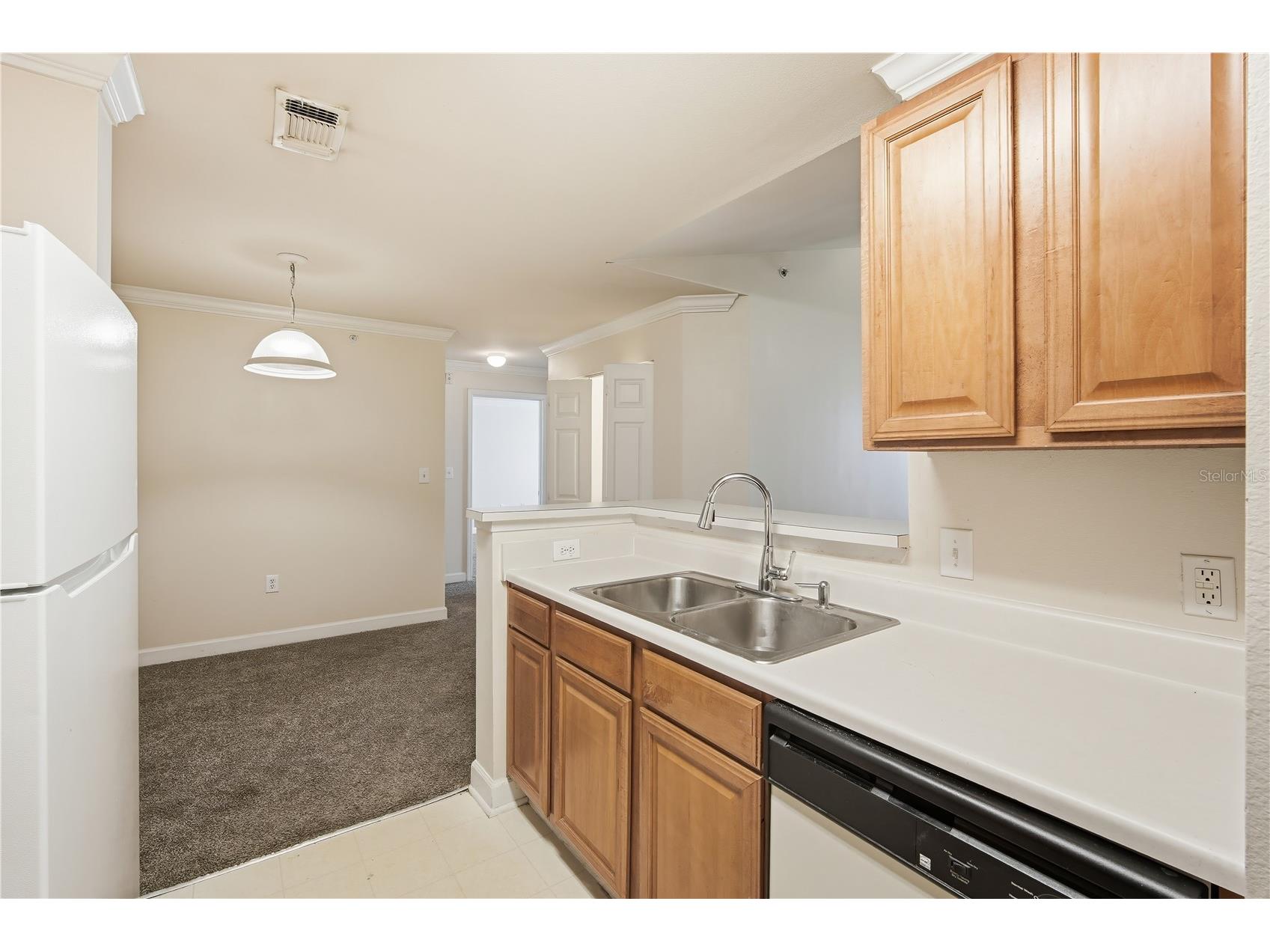 18367 Bridle Club Drive #18367 Tampa FL 33647 TB8501242 image9