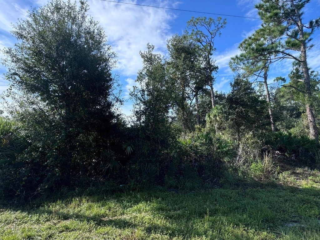 18367 Harrison Avenue Port Charlotte FL 33954 TB8307879 image1