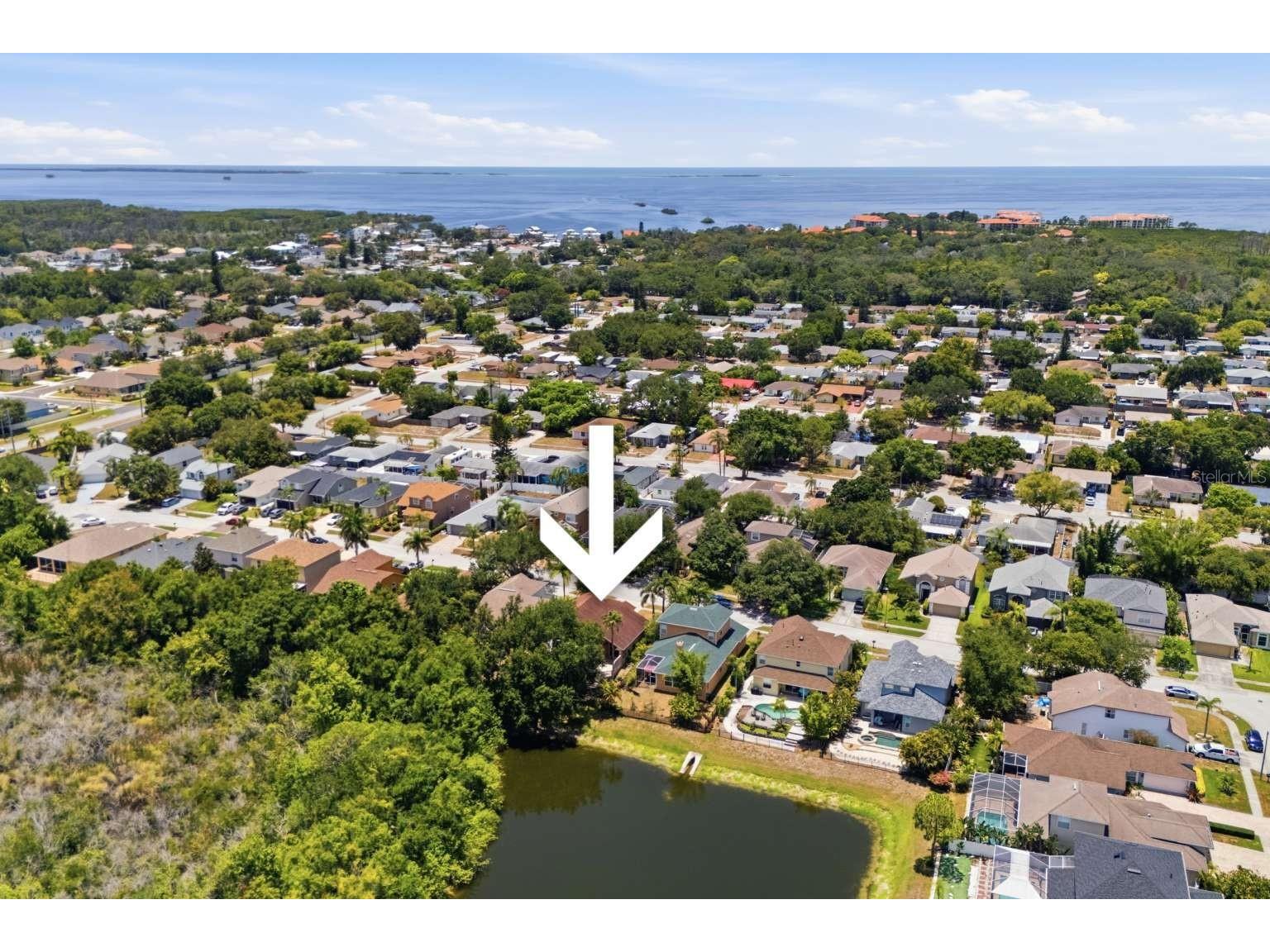 1837 Briland Street Tarpon Springs FL 34689 TB8524625 image38