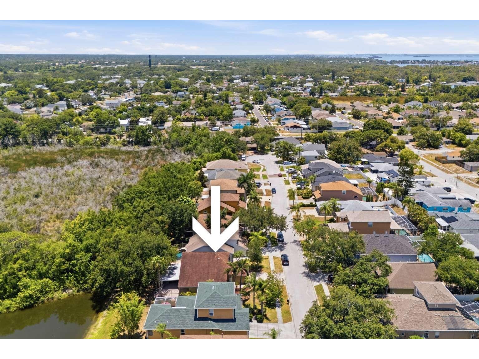 1837 Briland Street Tarpon Springs FL 34689 TB8524625 image39