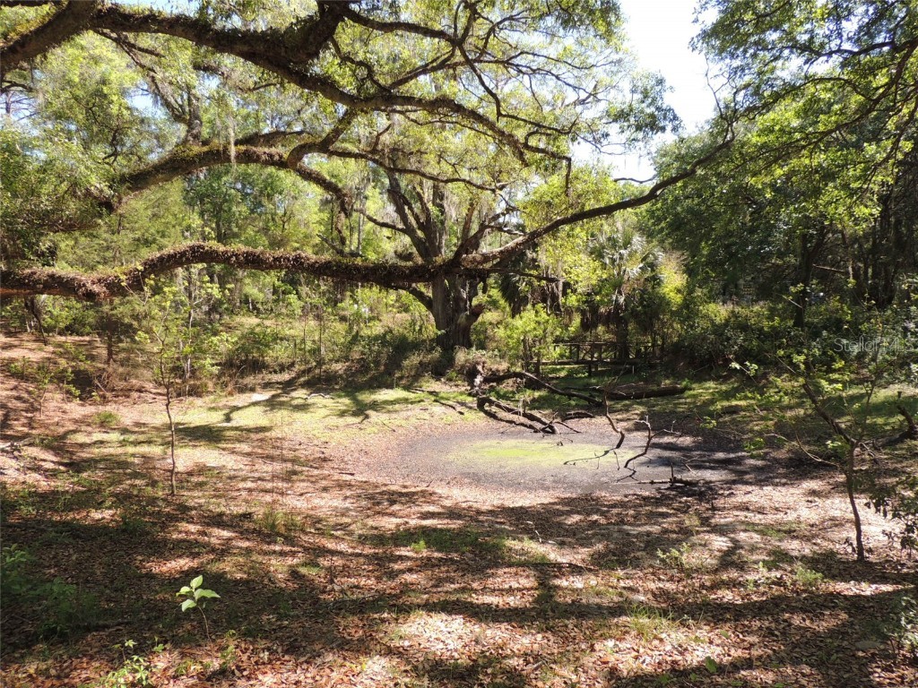 18371 SE 42nd Place Morriston FL 32668 OM655188 image1